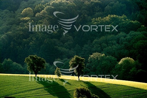 Nature / landscape royalty free stock image #597426595