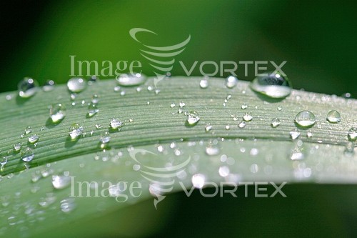 Nature / landscape royalty free stock image #598285862