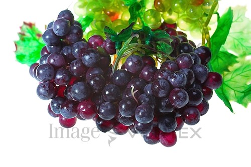 Food / drink royalty free stock image #600556040