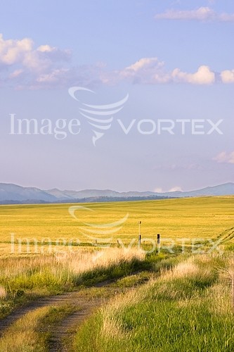 Industry / agriculture royalty free stock image #607545801
