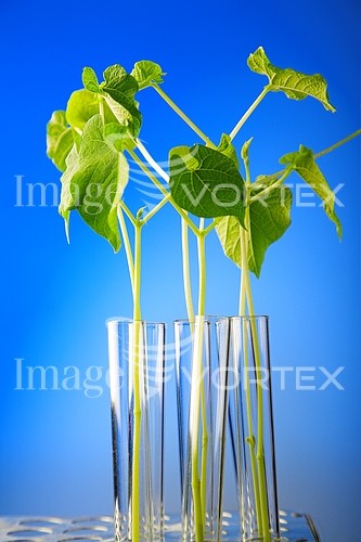 Industry / agriculture royalty free stock image #608760263