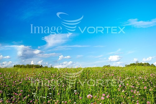 Nature / landscape royalty free stock image #610293227