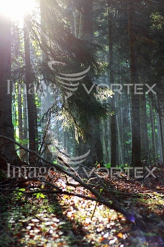 Nature / landscape royalty free stock image #610790559