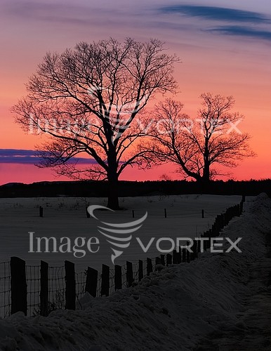 Sunset / sunrise royalty free stock image #613113306