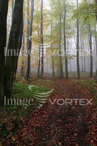 Nature / landscape royalty free stock image #614114762