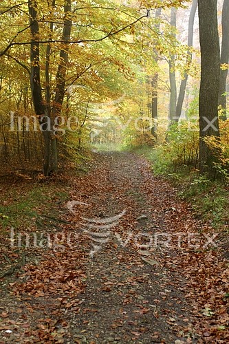 Nature / landscape royalty free stock image #614227714