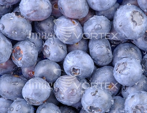 Food / drink royalty free stock image #615092156