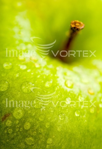Food / drink royalty free stock image #621179206