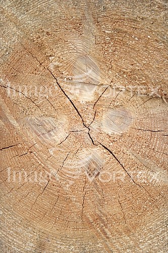 Background / texture royalty free stock image #626834307