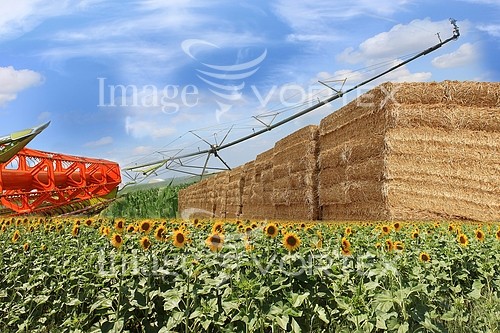 Industry / agriculture royalty free stock image #629793098