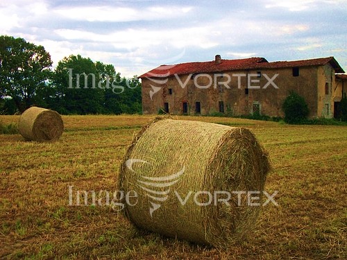 Industry / agriculture royalty free stock image #630364928