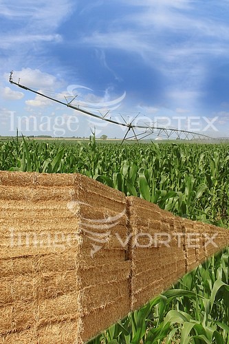 Industry / agriculture royalty free stock image #633180280