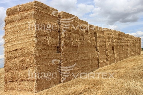 Industry / agriculture royalty free stock image #633537633