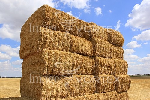 Industry / agriculture royalty free stock image #638120138