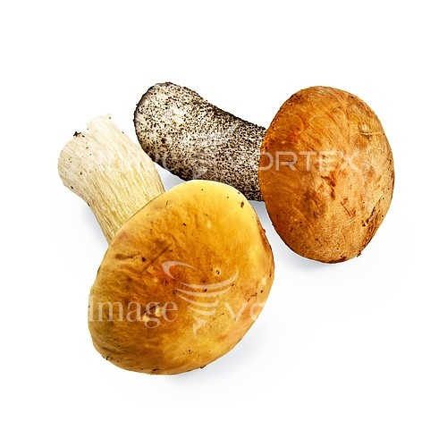 Food / drink royalty free stock image #638253131