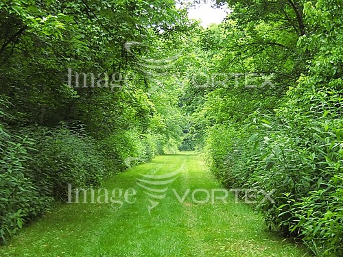 Nature / landscape royalty free stock image #639514794