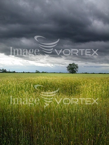 Industry / agriculture royalty free stock image #639272510