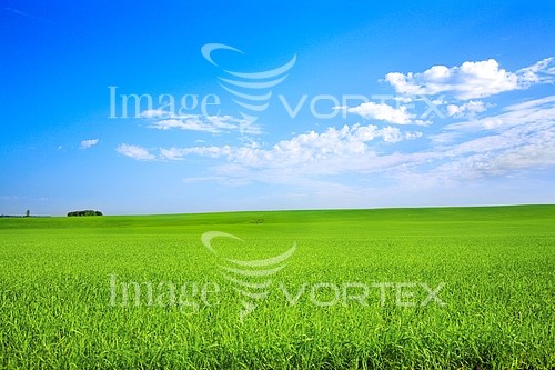 Industry / agriculture royalty free stock image #640217630