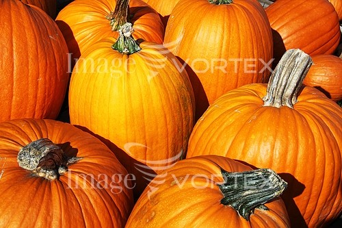 Industry / agriculture royalty free stock image #642496147