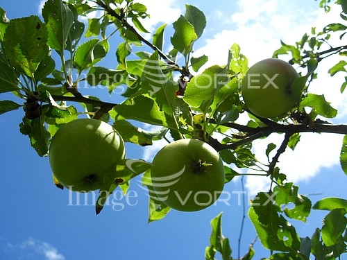 Industry / agriculture royalty free stock image #647421437