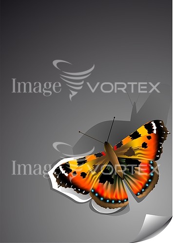 Background / texture royalty free stock image #647991071