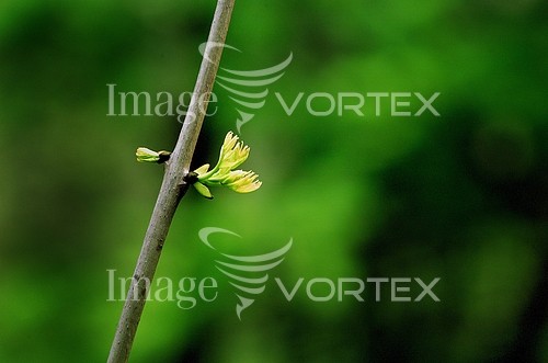 Nature / landscape royalty free stock image #653967258