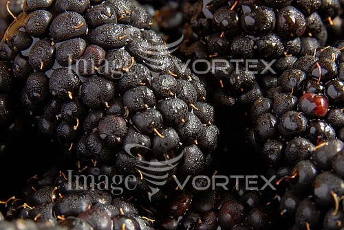 Food / drink royalty free stock image #661217736