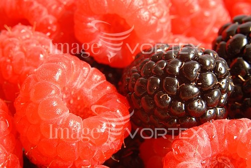 Food / drink royalty free stock image #661982163