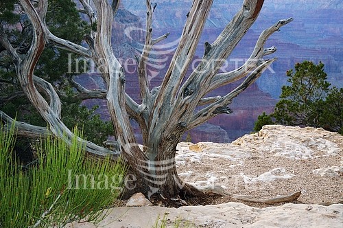 Nature / landscape royalty free stock image #666221335