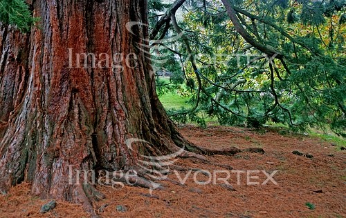Nature / landscape royalty free stock image #675604248