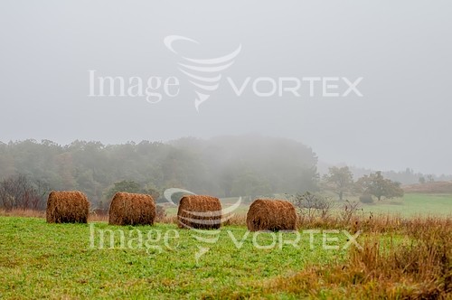 Industry / agriculture royalty free stock image #698536745