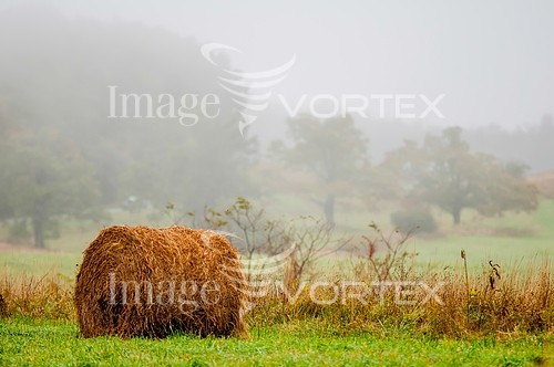 Industry / agriculture royalty free stock image #698545335