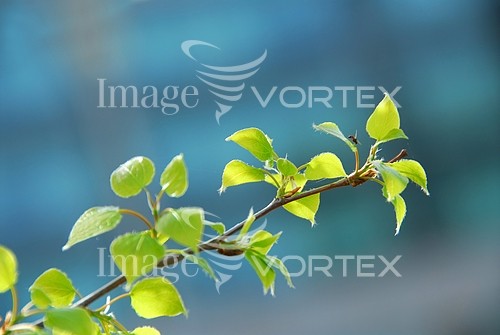 Nature / landscape royalty free stock image #698262484