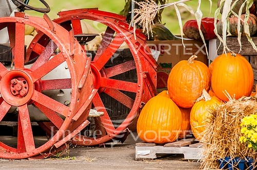 Industry / agriculture royalty free stock image #698014913