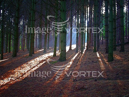 Nature / landscape royalty free stock image #704477567