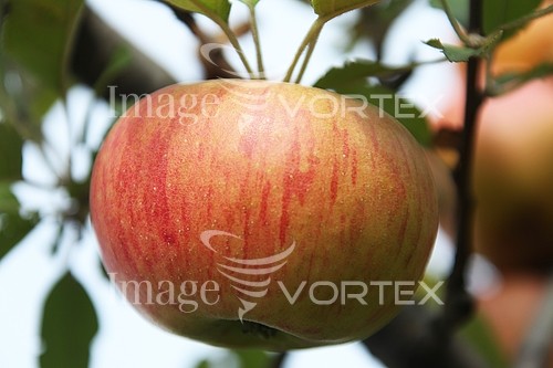 Industry / agriculture royalty free stock image #712826587