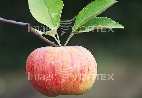 Industry / agriculture royalty free stock image #712831098