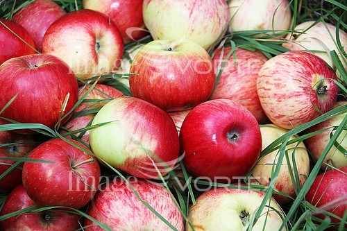 Industry / agriculture royalty free stock image #712849953