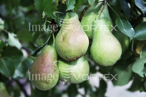 Industry / agriculture royalty free stock image #712770334