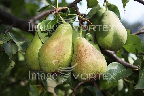 Industry / agriculture royalty free stock image #712785132
