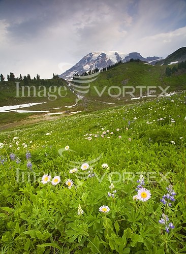 Nature / landscape royalty free stock image #714233526