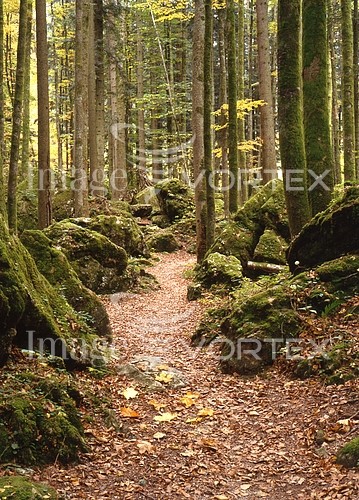 Nature / landscape royalty free stock image #721462054