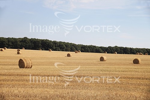 Industry / agriculture royalty free stock image #726994456