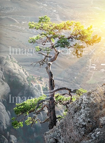 Nature / landscape royalty free stock image #727775923