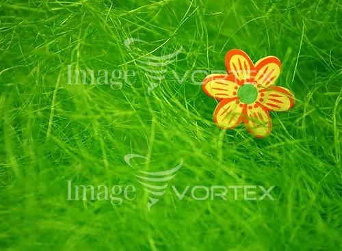 Flower royalty free stock image #738928218