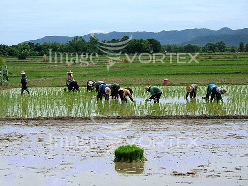 Industry / agriculture royalty free stock image #738847056