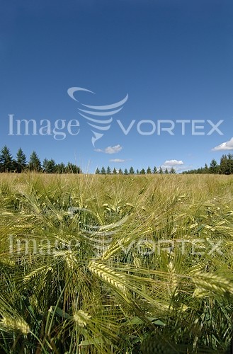 Industry / agriculture royalty free stock image #741641109