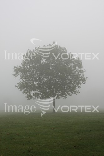 Park / outdoor royalty free stock image #745286410