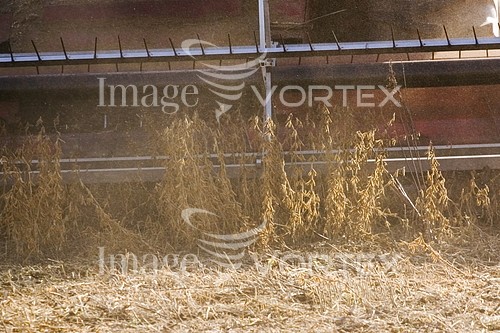 Industry / agriculture royalty free stock image #749225143