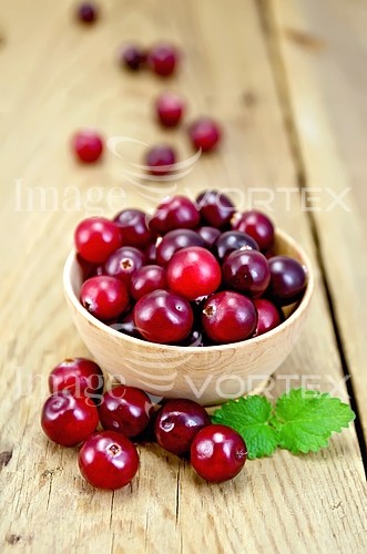 Food / drink royalty free stock image #751799904
